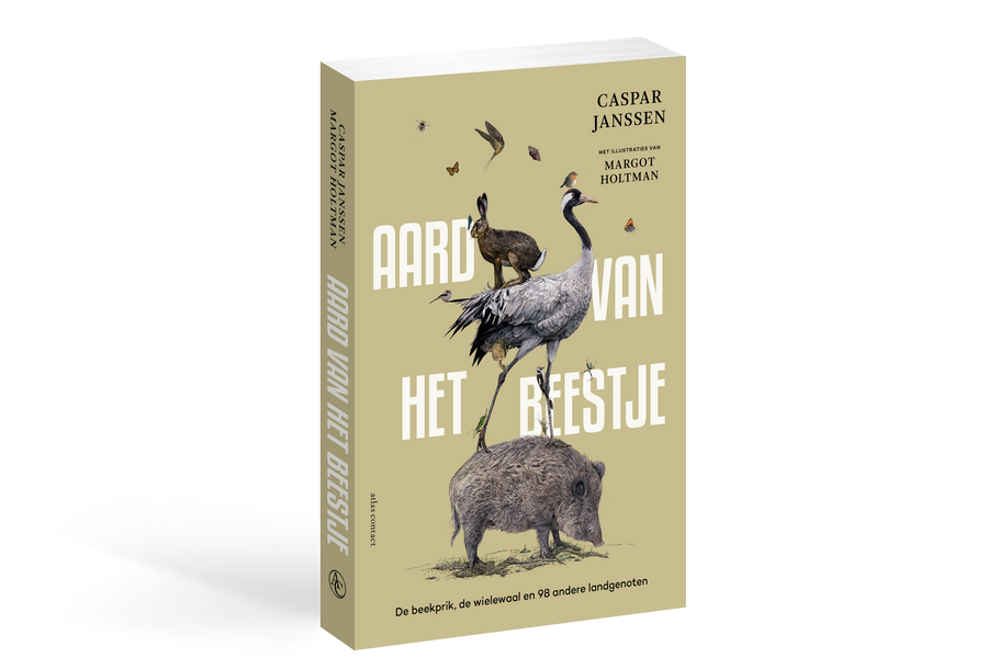 Aard van het Beestje - afbeelding 1