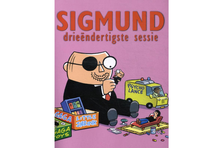 Sigmund 33ste sessie - afbeelding 1
