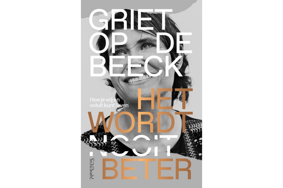 Het wordt beter - afbeelding 1