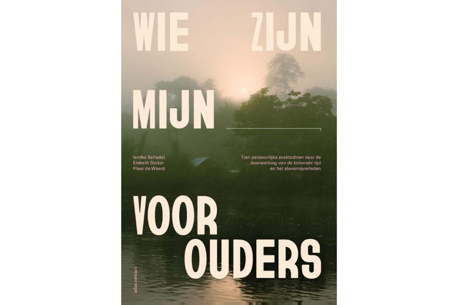 Wie zijn mijn voorouders - afbeelding 1