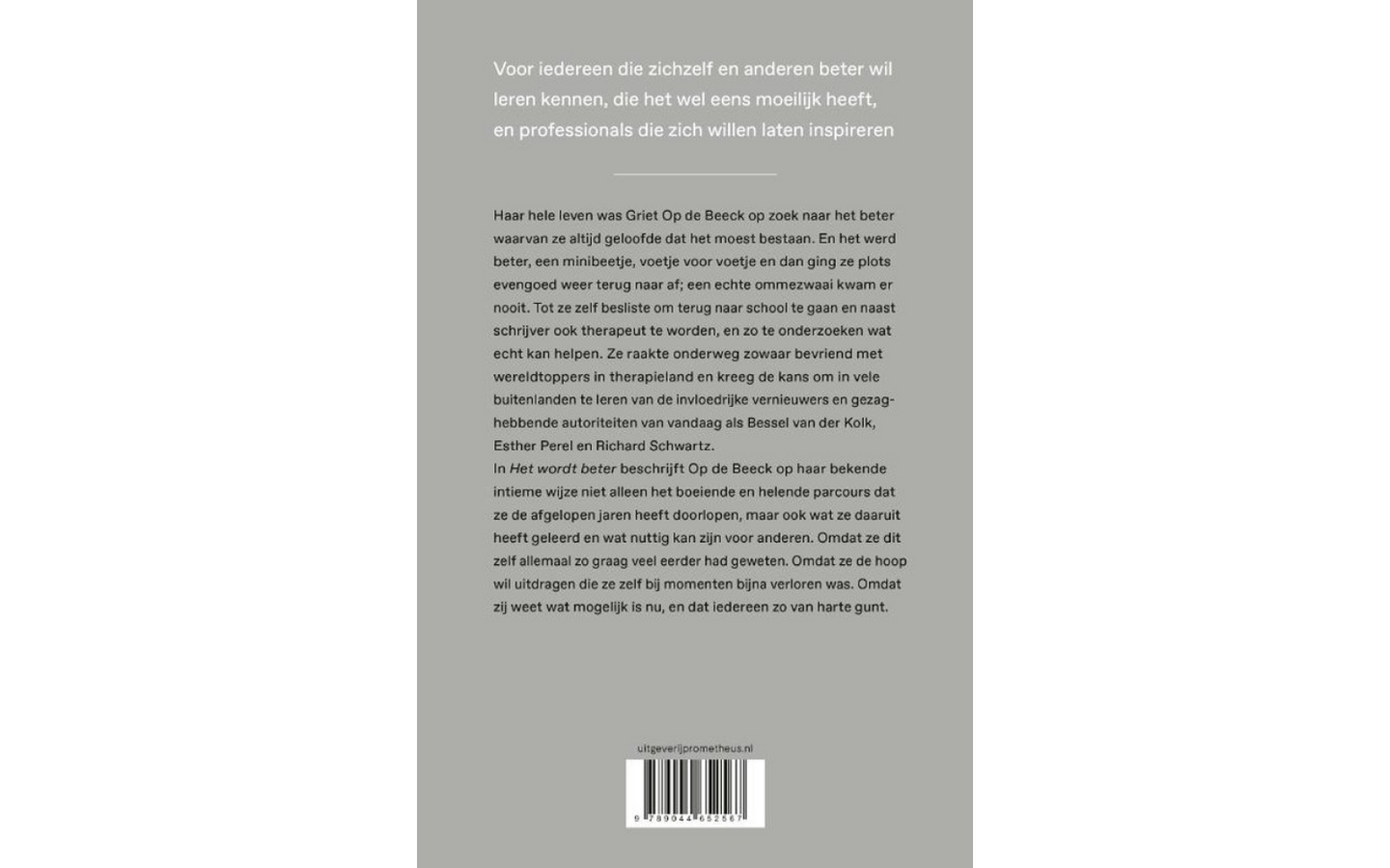 Het wordt beter - afbeelding 2