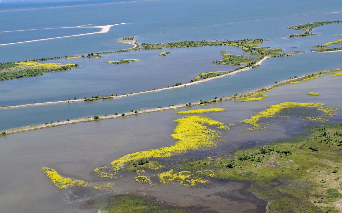 Zeil mee naar Marker Wadden - afbeelding 8
