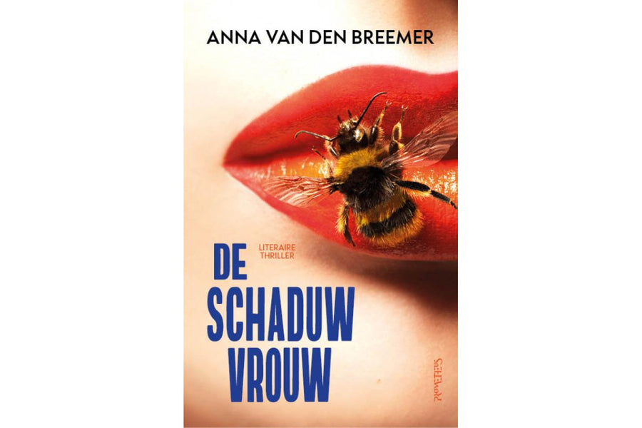 De Schaduwvrouw - afbeelding 1