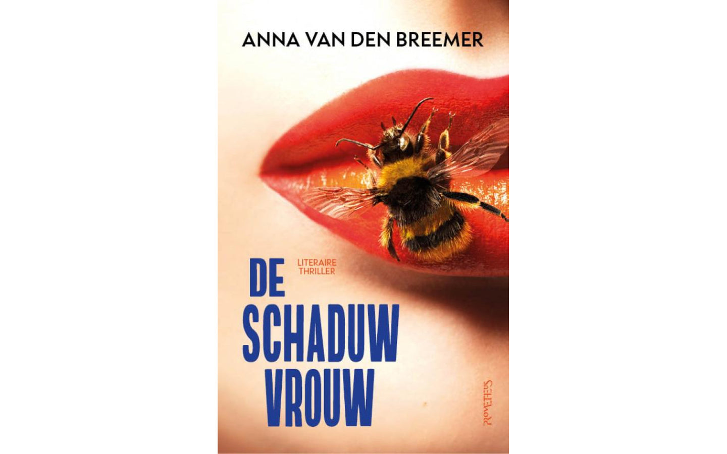 De Schaduwvrouw - afbeelding 1