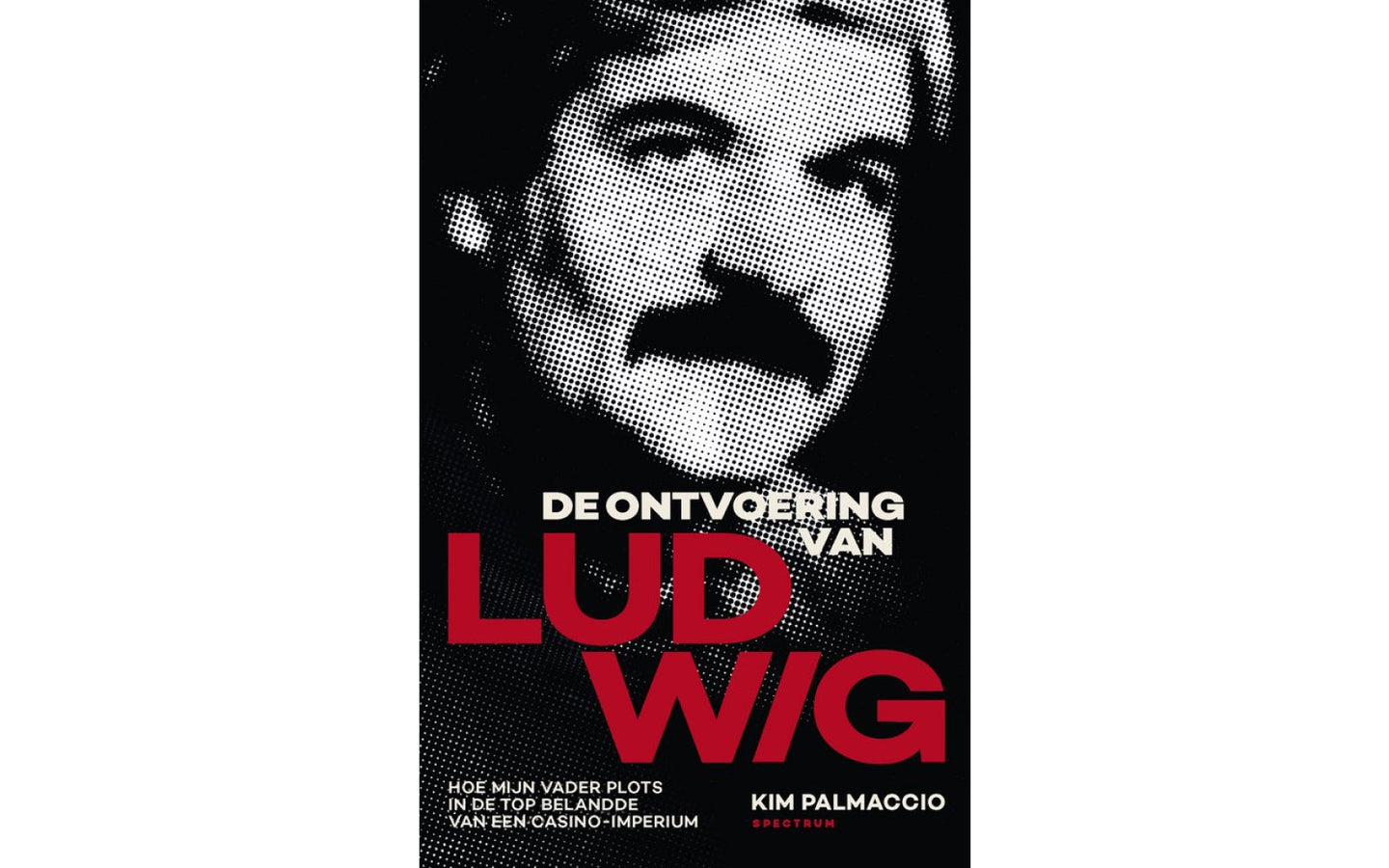 De ontvoering van Ludwig - afbeelding 1