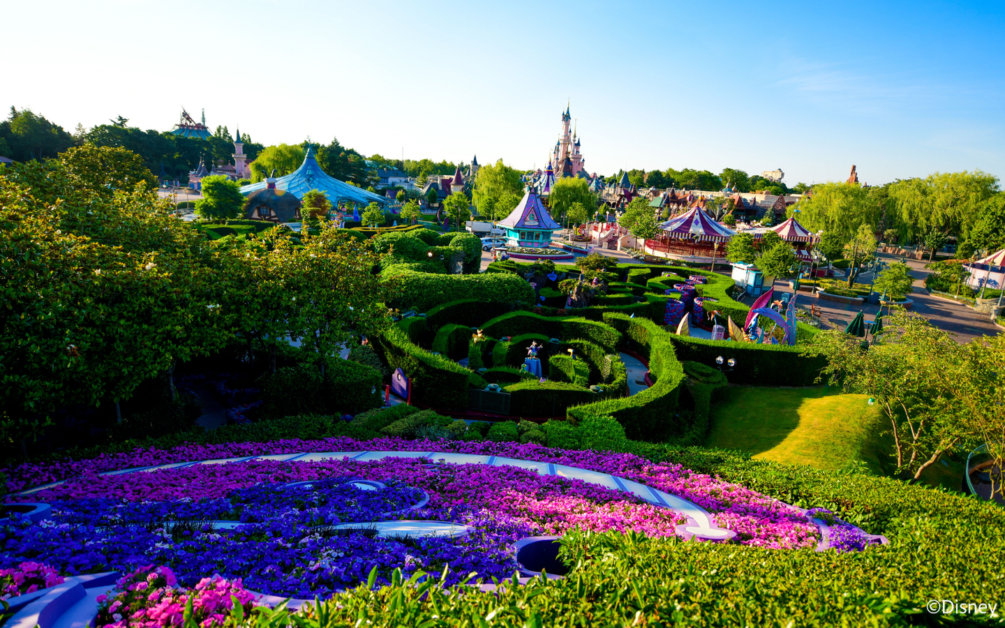 Tickets Disneyland Paris incl. Donald Duck kleurplaten - afbeelding 11