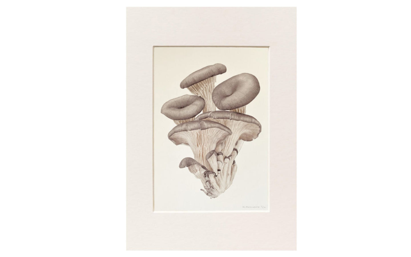 Kunstprint Oesterzwam van Medy Oberendorff - afbeelding 1