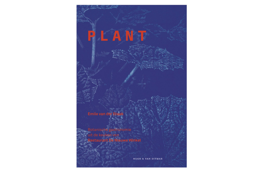 Plant - Emile van der Staak - afbeelding 1
