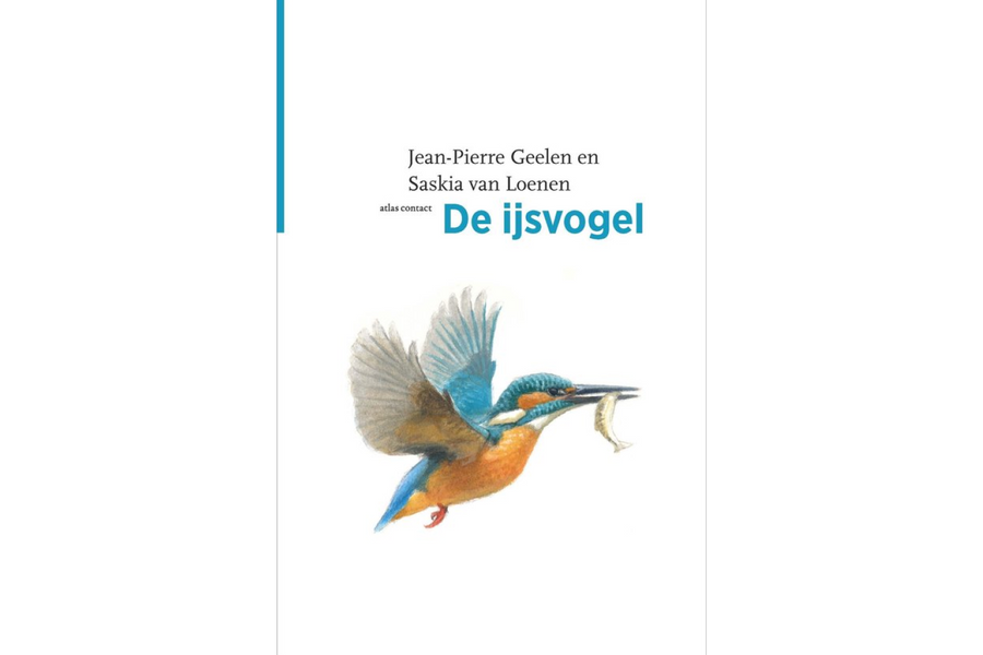 De Vogelserie 28 - De ijsvogel - afbeelding 1