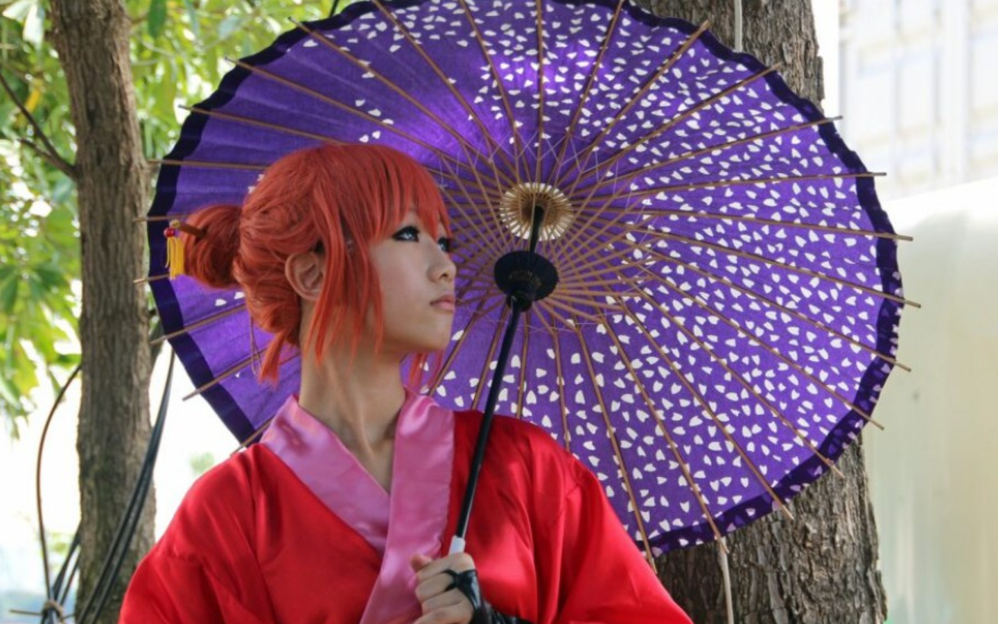 Japan: Traditie en Toekomst - afbeelding 6