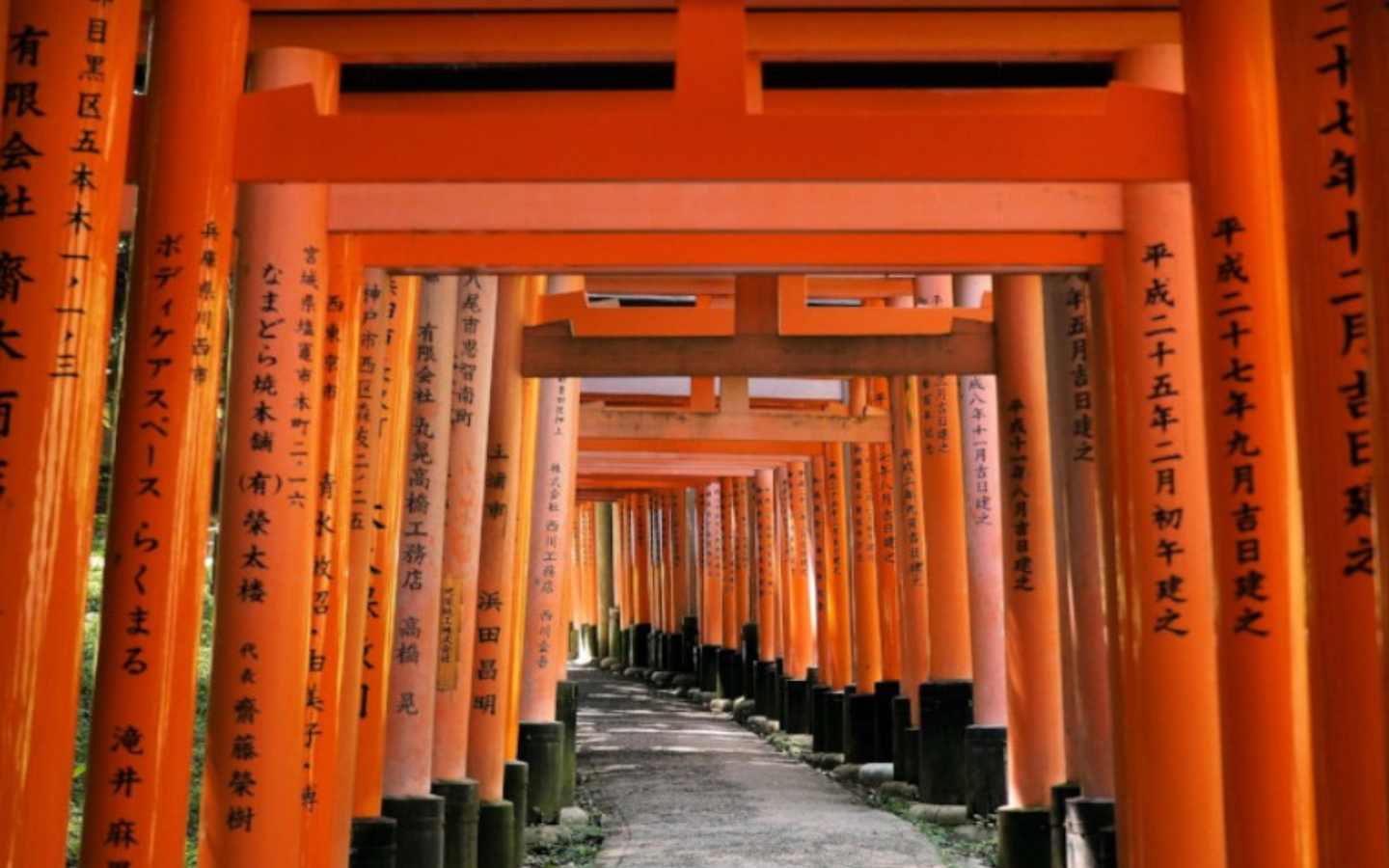 Japan: Traditie en Toekomst - afbeelding 7