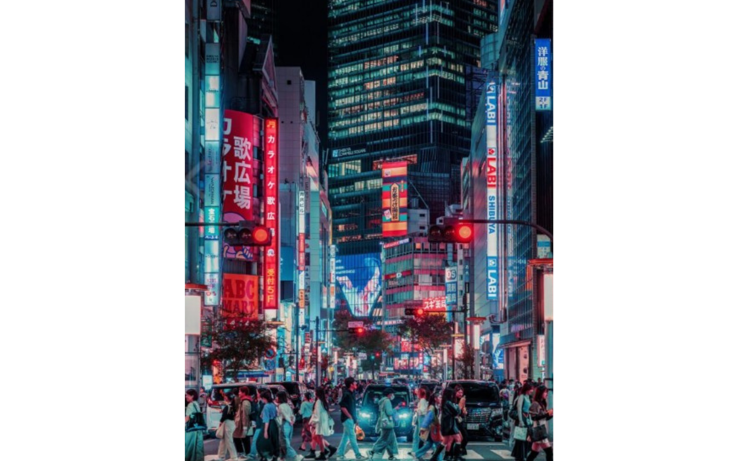Japan: Traditie en Toekomst - afbeelding 2
