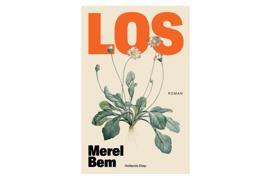 Los - Merel Bem - afbeelding 1