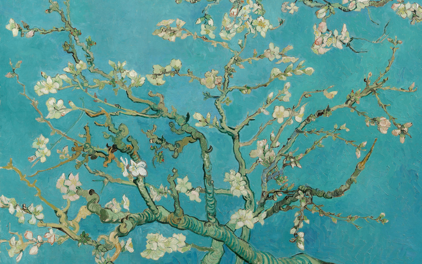 Summerschool Kunstgeschiedenis - Vrije Academie - afbeelding 7