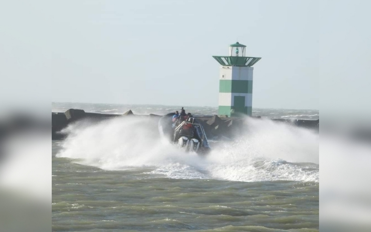 Bachelor(ette) Special - afbeelding 3