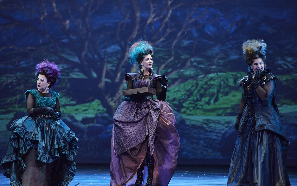 Een prachtige lezersreis met drie opera’s door Duitsland - afbeelding 3