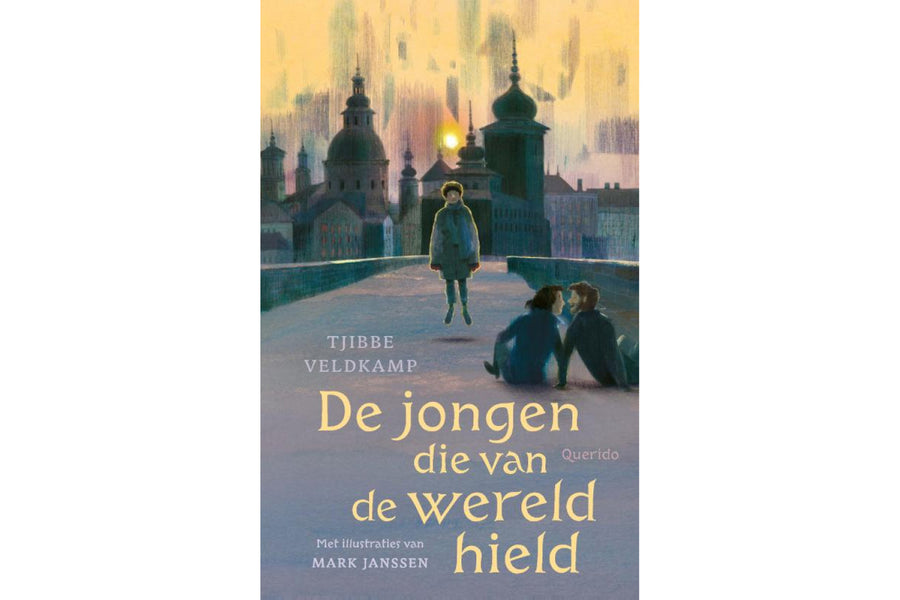 De jongen die van de wereld hield - afbeelding 1