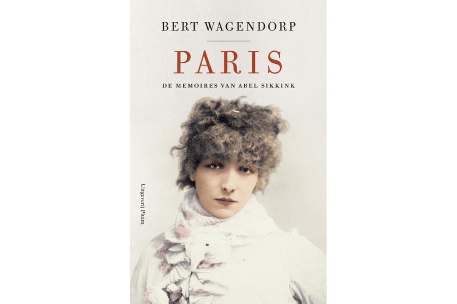 Paris - De memoires van Abel Sikkink - afbeelding 1